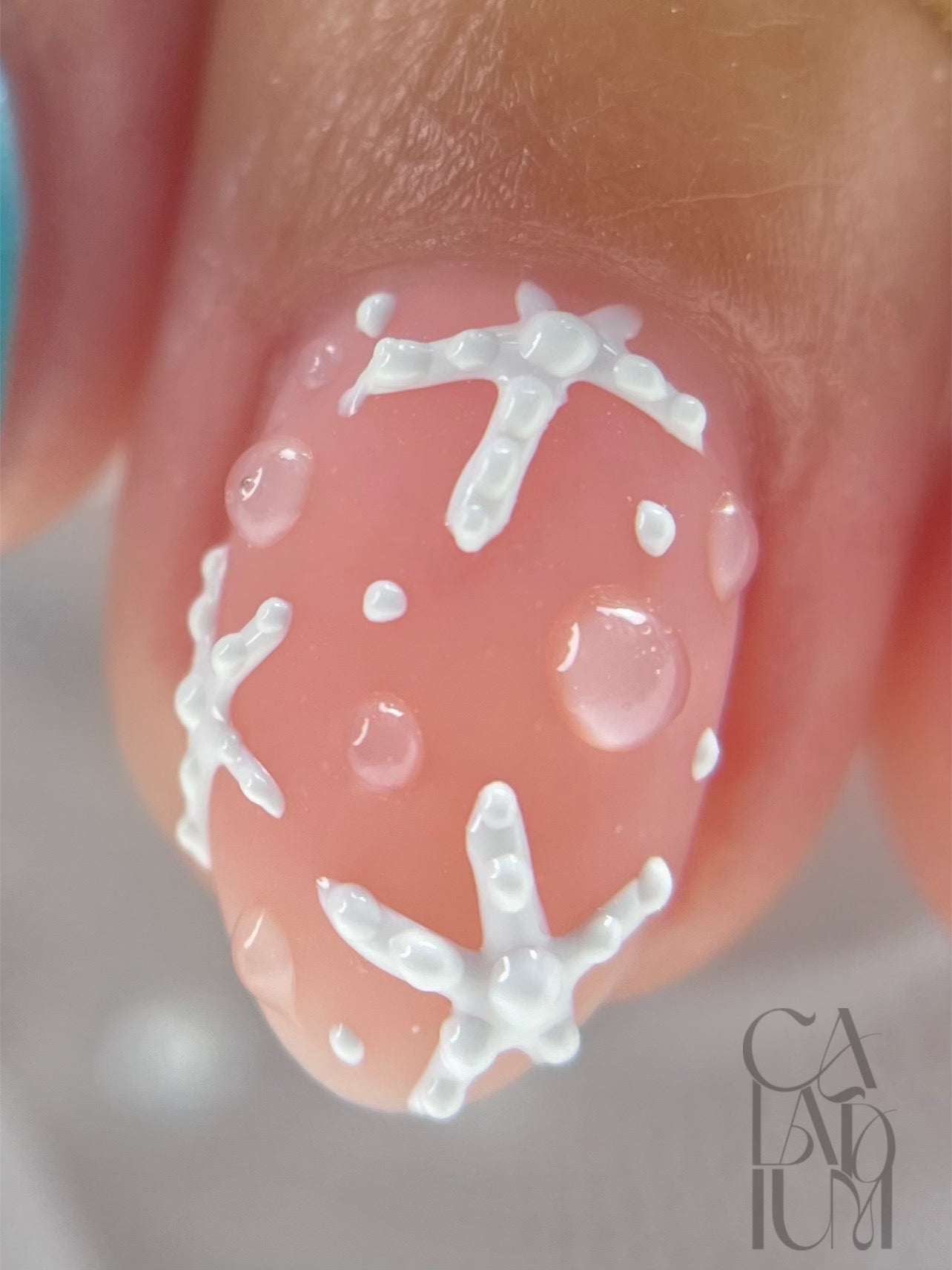 Matte top coat NO WIPE