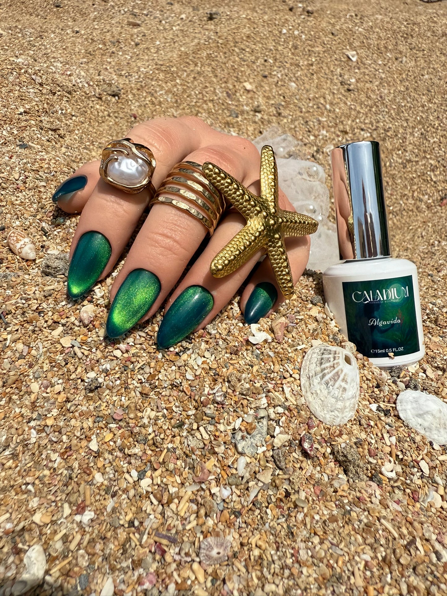 Algavida 💚🐚✨ Cat Eye