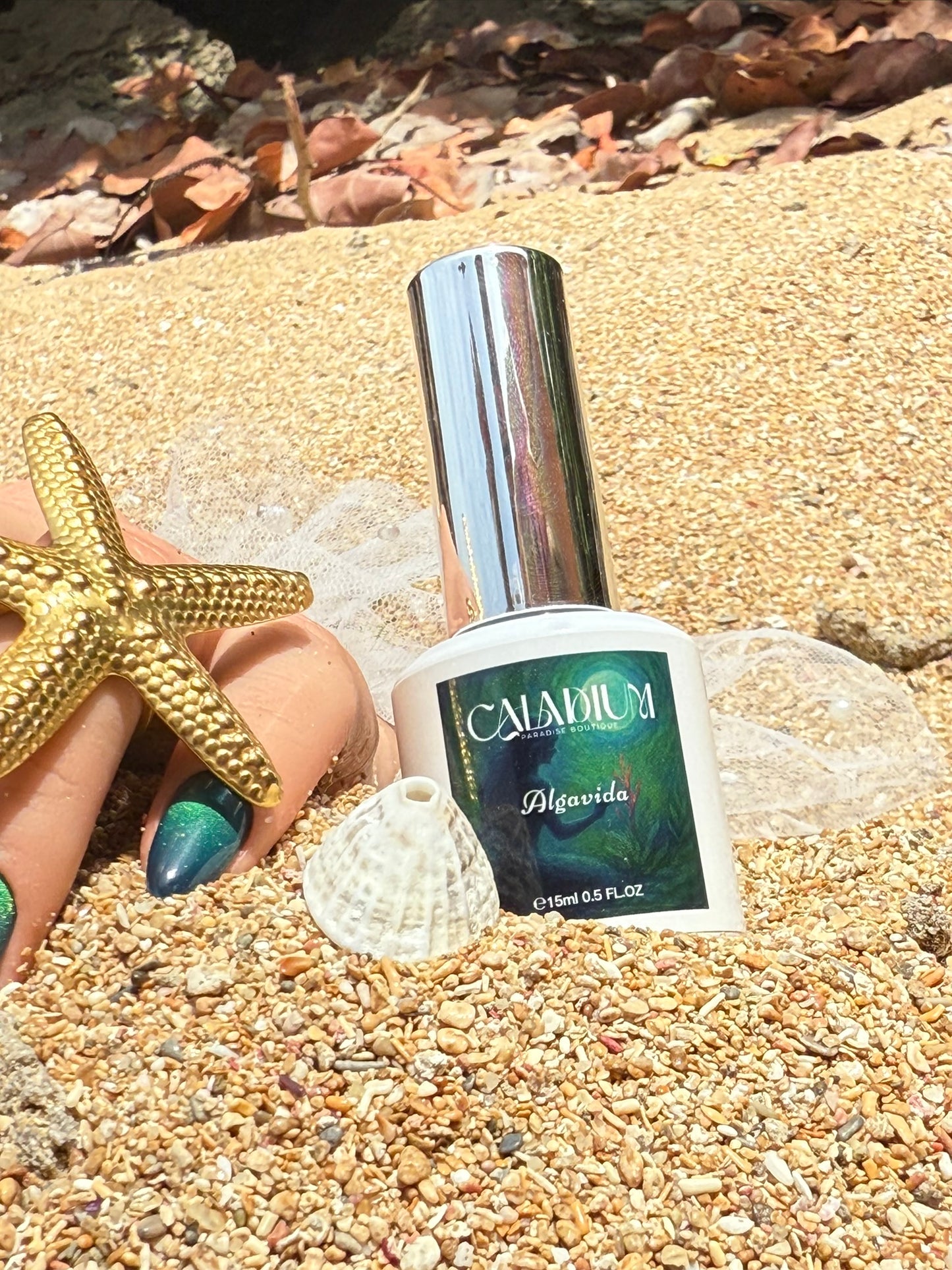 Algavida 💚🐚✨ Cat Eye