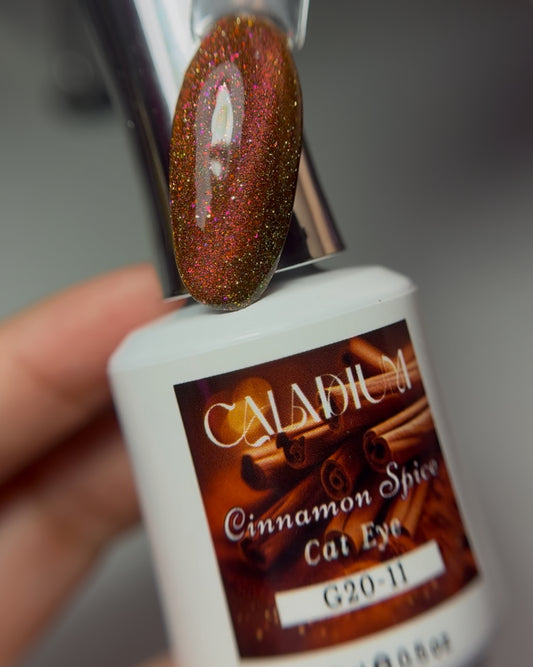 Cinnamon Spice 🥮🥧🤎 cat eye