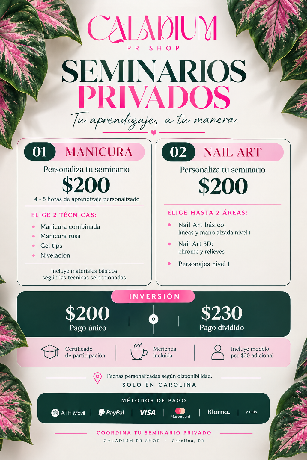 Seminario Privado $200 un solo pago (Se le agregará un cobro de $5 al usar tarjeta, luego del pago)